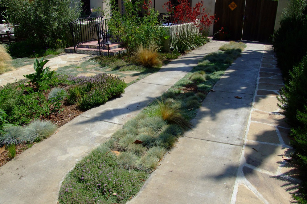 Green Island in the Driveway