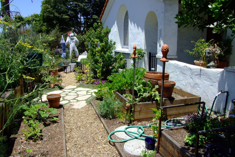 Vegetable Beds